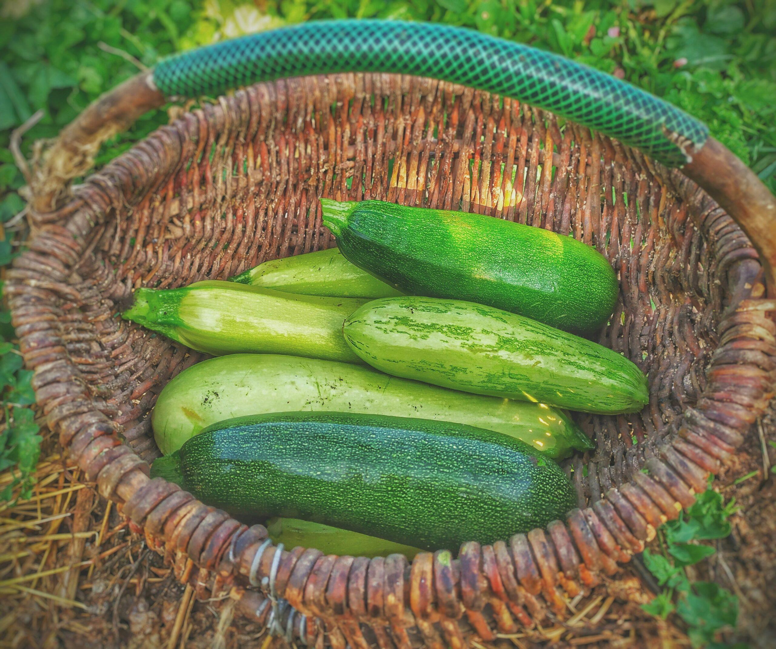 Crème de courgettes : doucement, mais sûrement