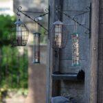Fabriquez vos mangeoires à oiseaux avec de la récup : 3 idées DIY A pigeon feeding at a birdhouse with hanging feeders on a rustic wooden wall in Cheltenham.