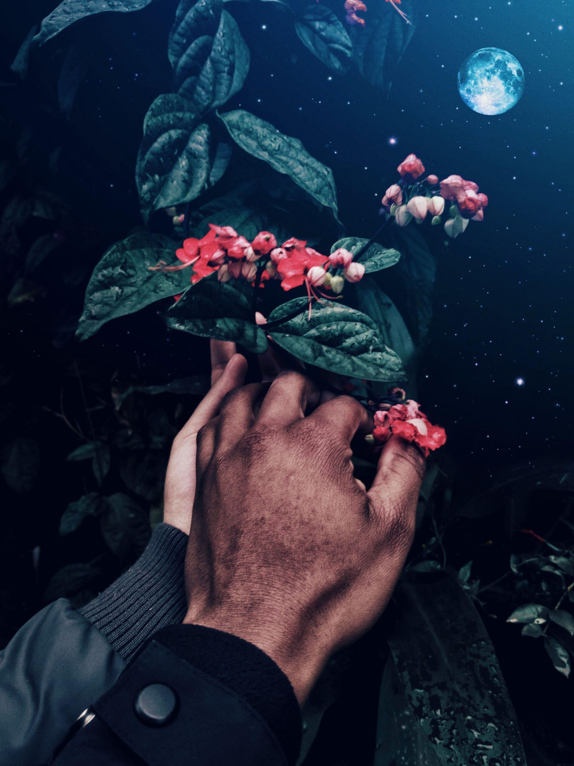 Lune rouge : quand le ciel met son costume de scène