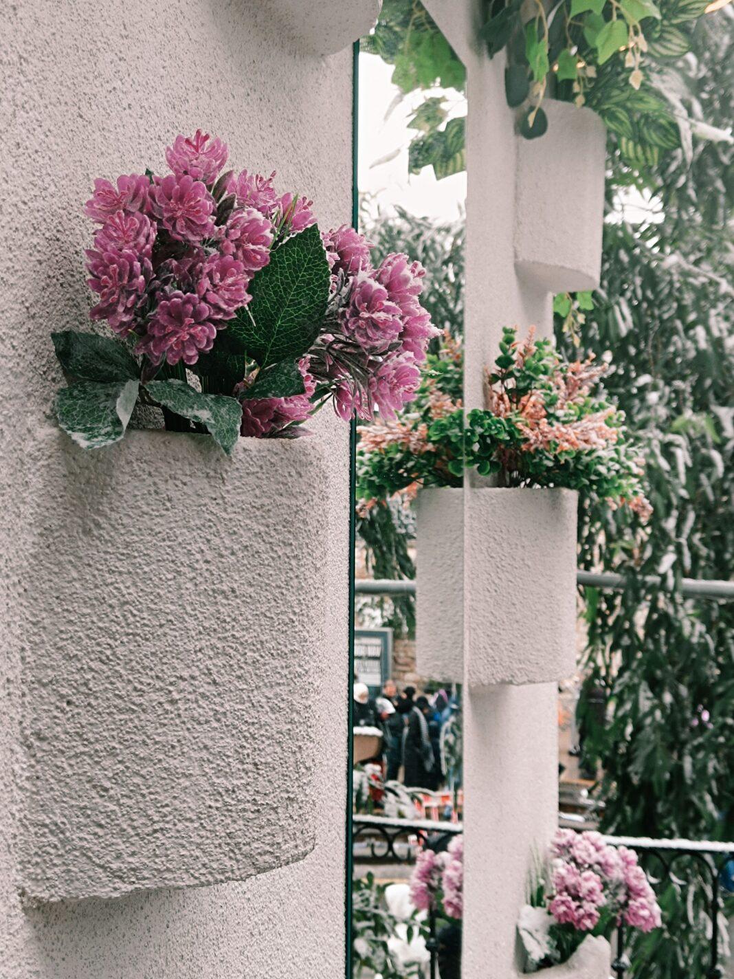 Beautiful vertical garden with vibrant purple flowers in an indoor setting.