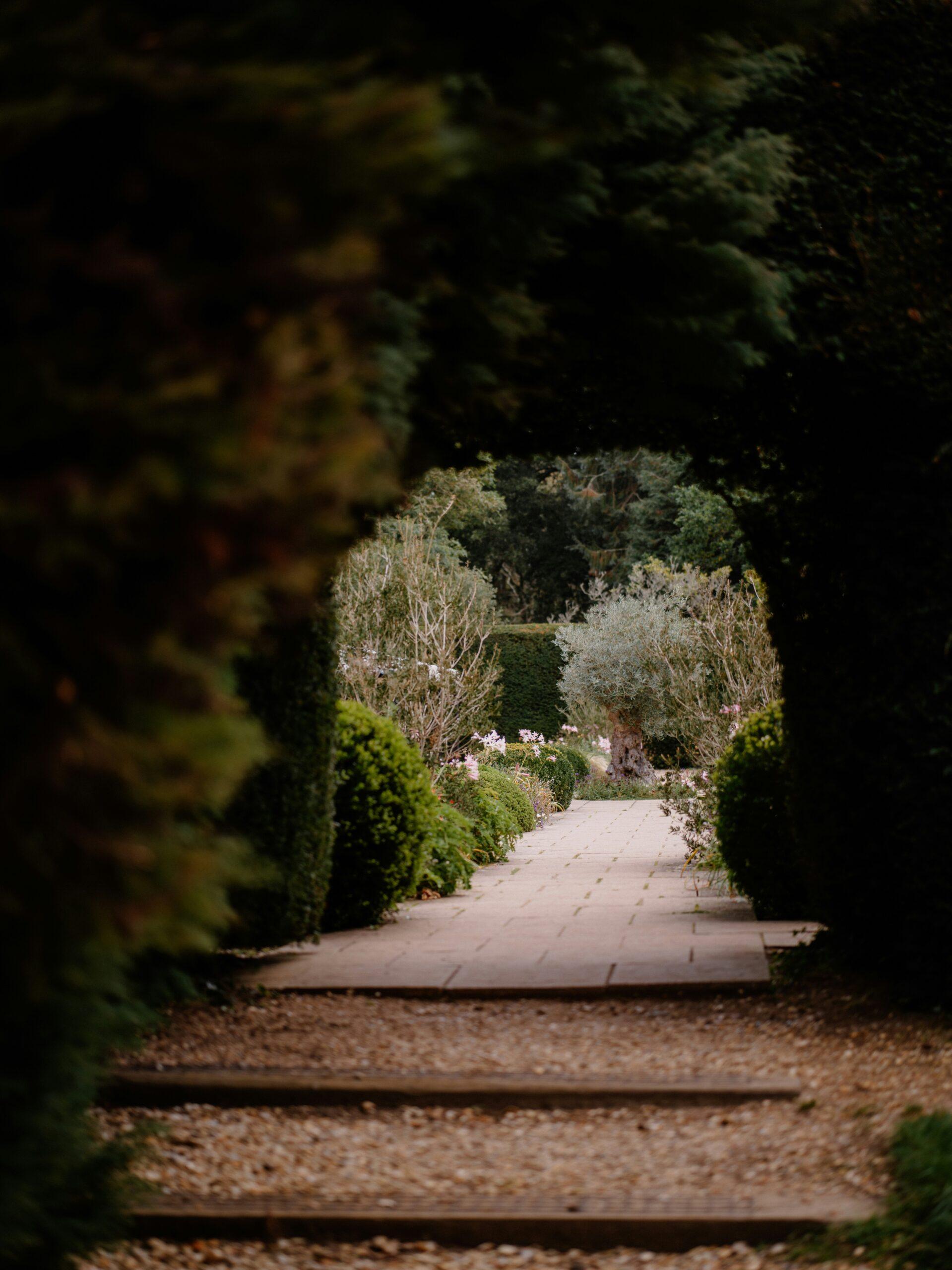 4. L'if, le roc vert du jardin