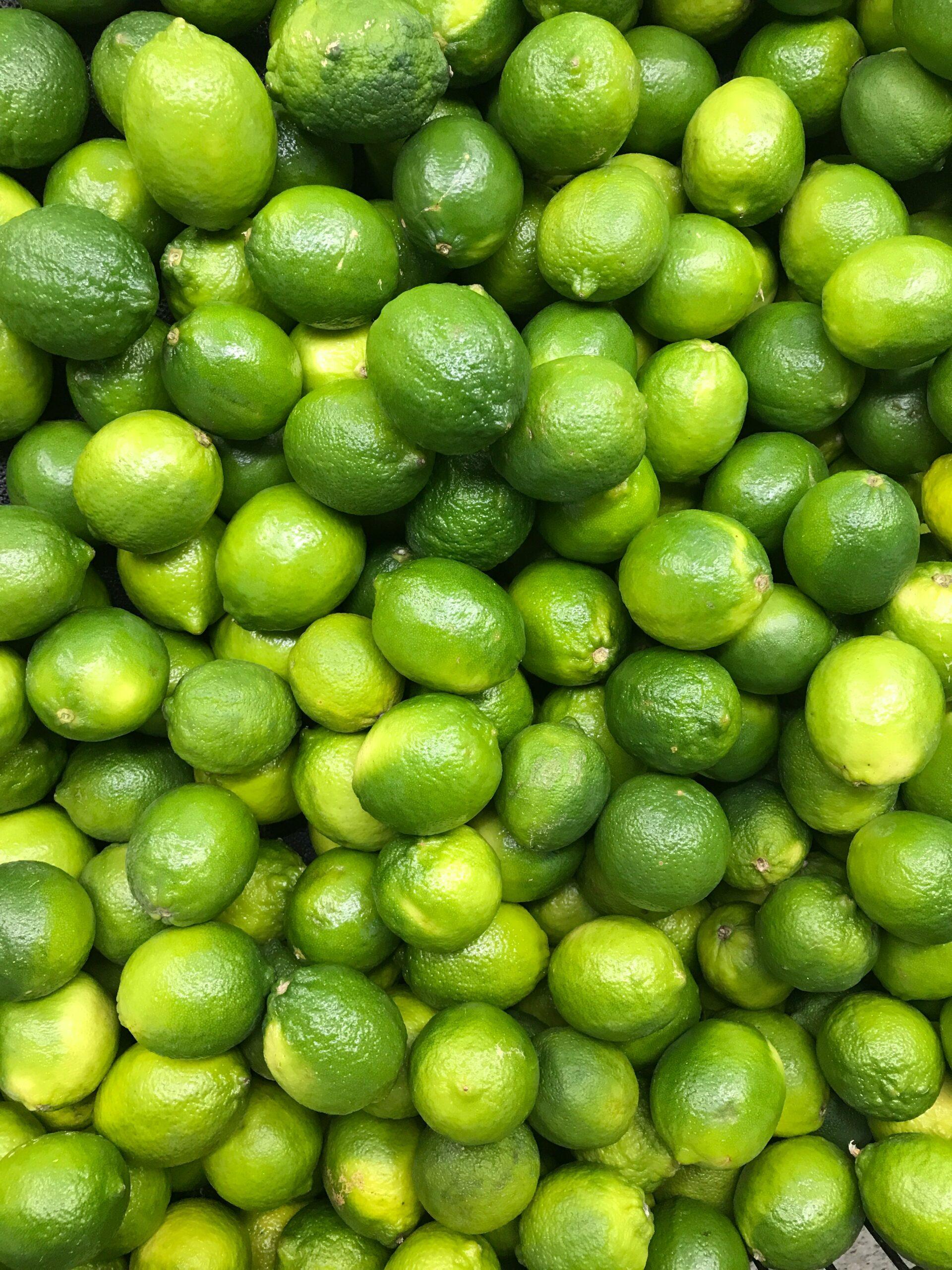 Récolte : le geste du cuisinier, pas du botaniste