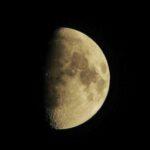 Lune croissante ou décroissante : le « p » et le « d » qui changent tout au jardin Detailed close-up of a quarter moon against a dark night sky.