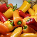 Paprika : cultiver, récolter et sécher soi-même cette épice qui met du rouge dans la vie Colorful bell peppers in a woven basket, showcasing fresh produce for culinary and health inspiration.