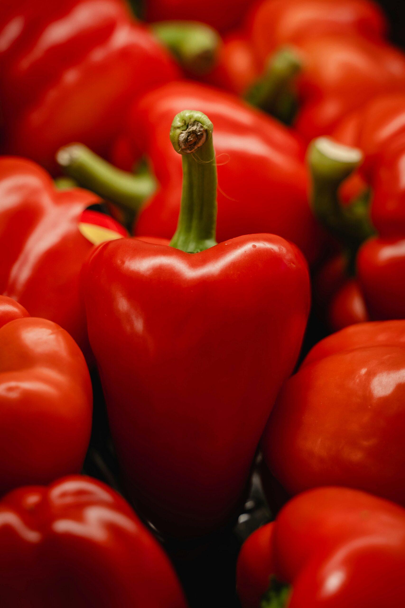 Associer le paprika au potager : bonnes et mauvaises compagnies