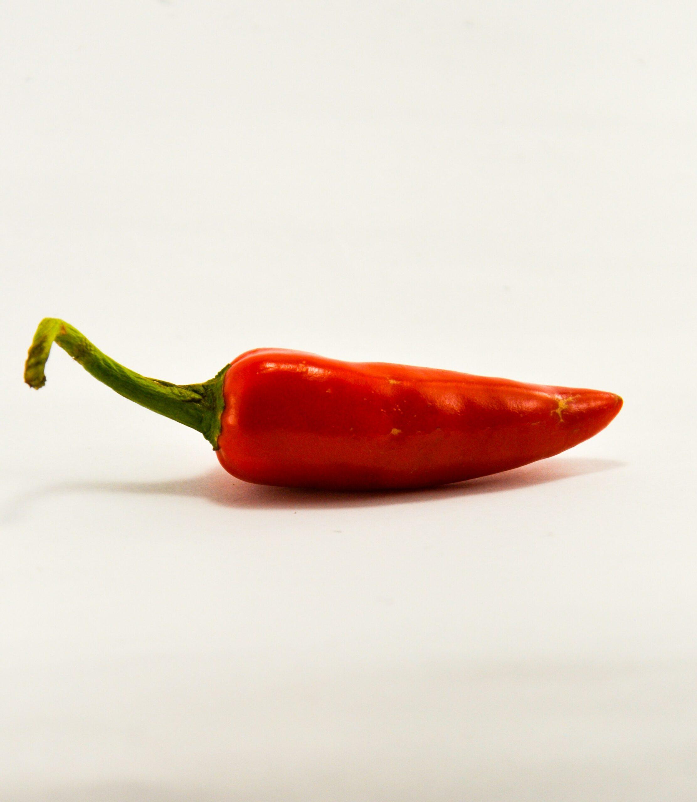 Semis, chaleur et patience : recette pour un paprika maison