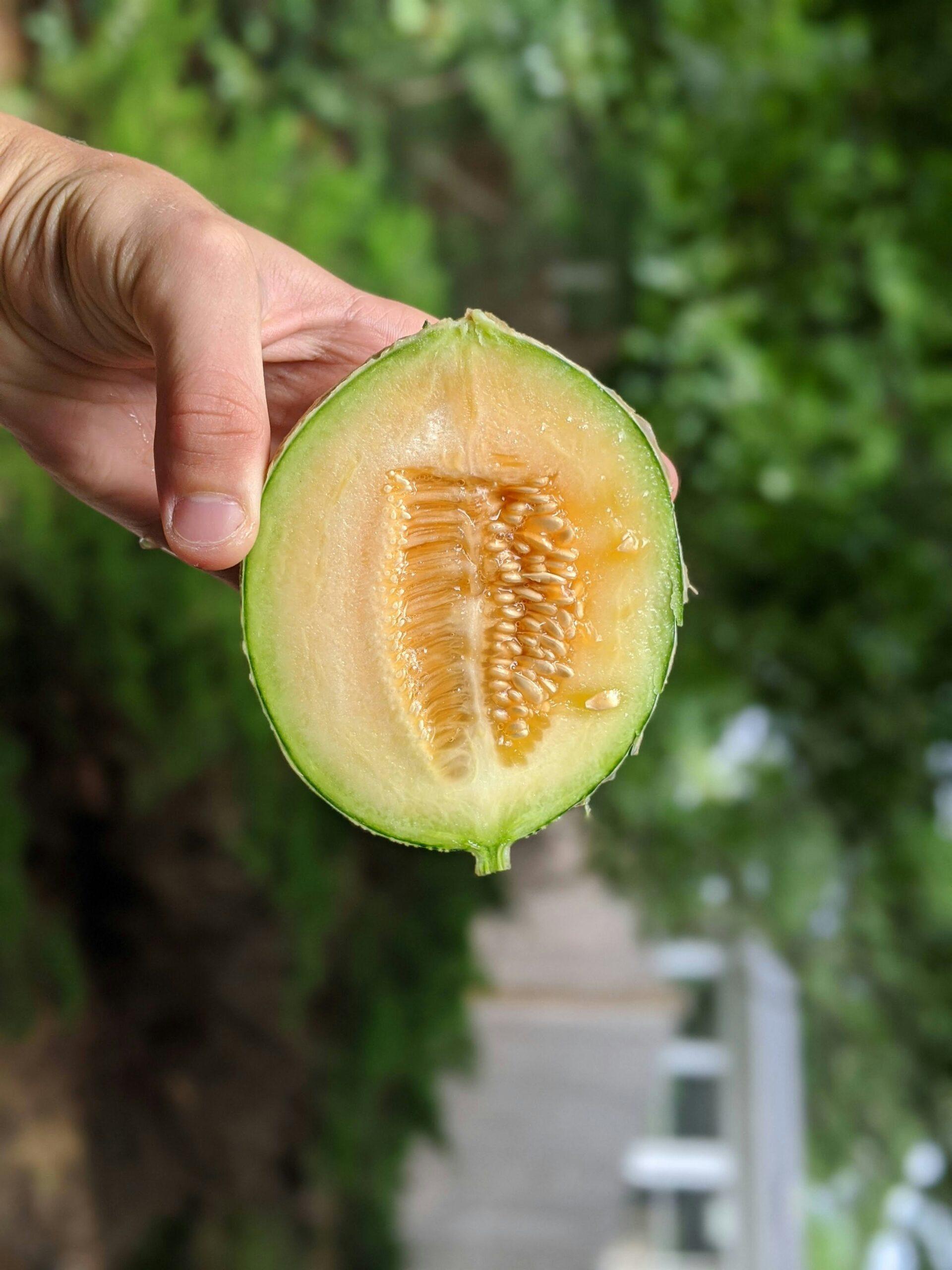 Test du melon : la méthode des trois sens