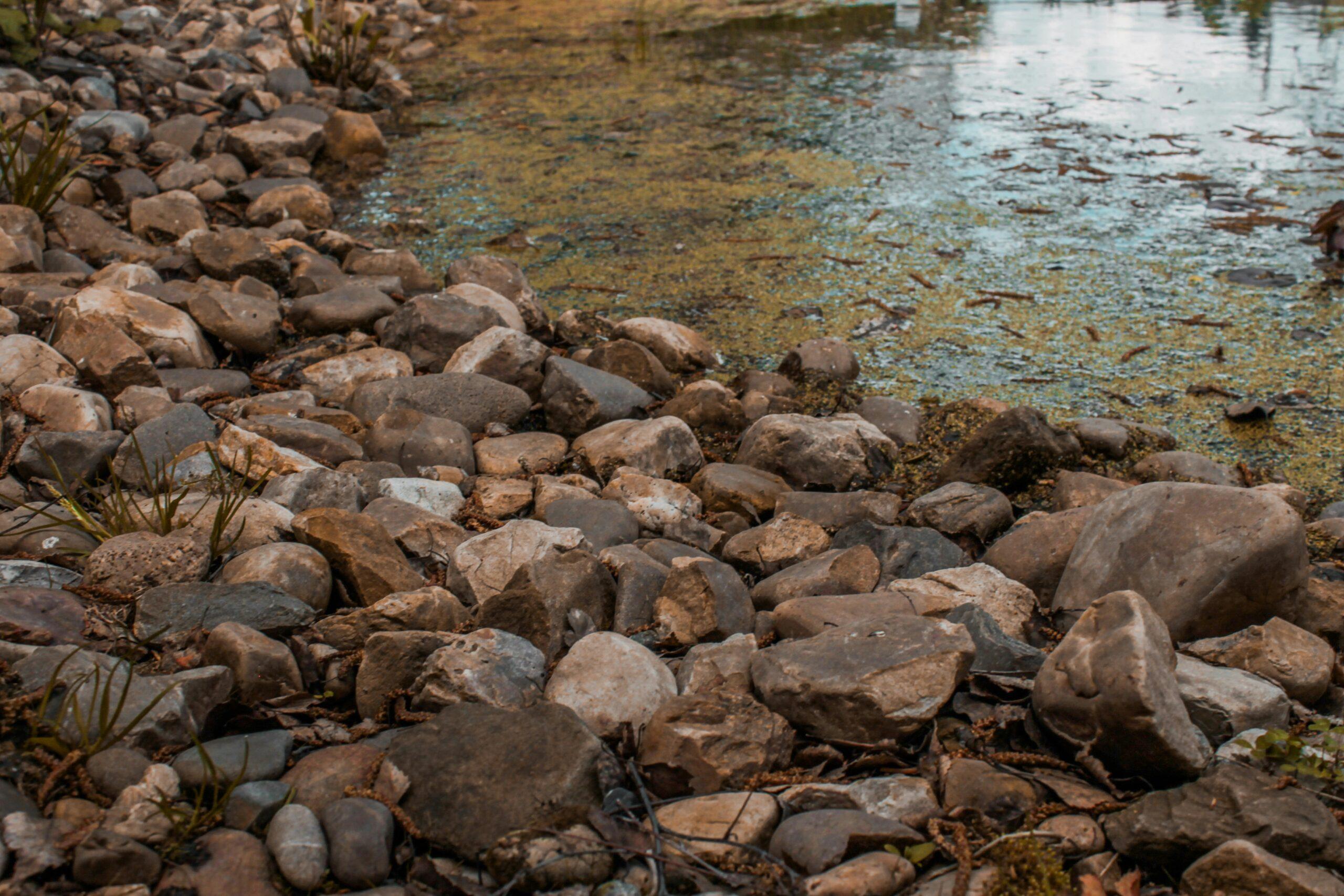 La tapissière qui vient de Patagonie