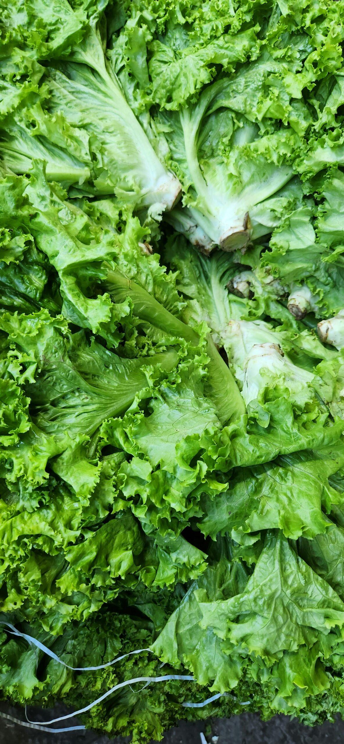 Soins et compagnie : qui fréquente la Sucrine ?
