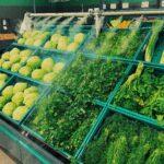Vibrant array of fresh cabbages and greens in a supermarket in Isparta, Türkiye.