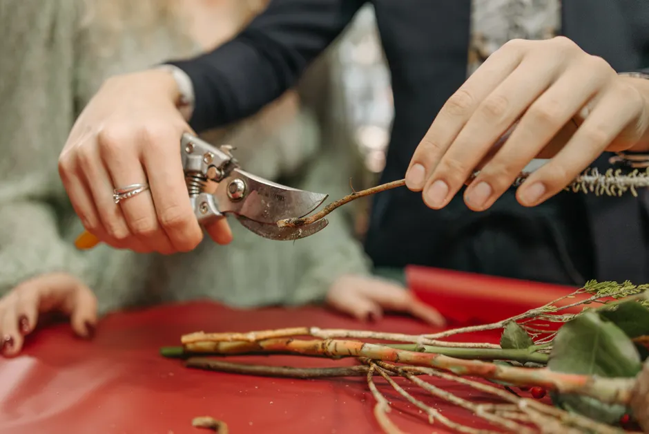 A close-up of hands using pruning shears to trim flower stems. Perfect for floral and gardening themes.