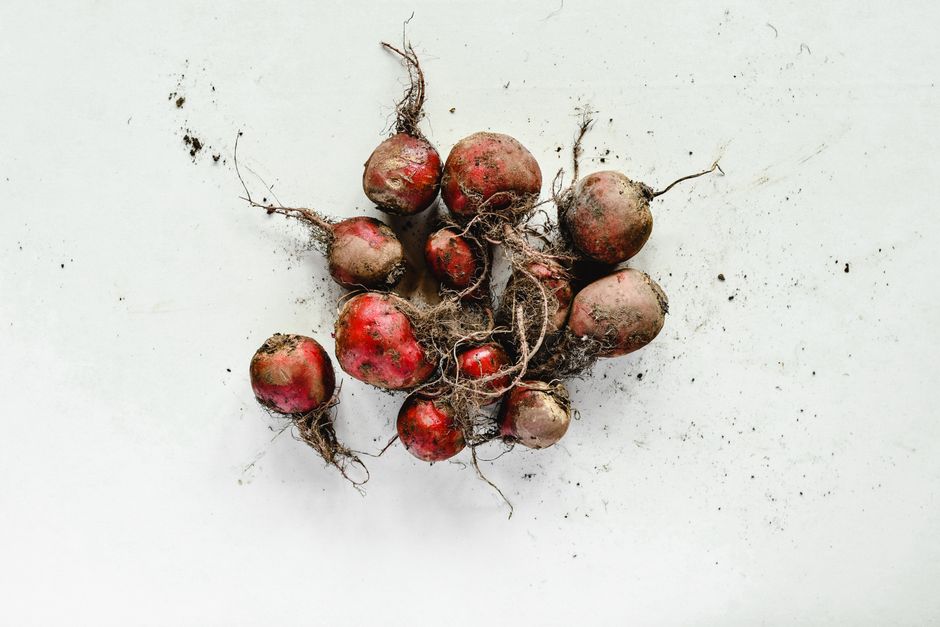 A cluster of fresh beetroots with roots and soil on a white background, showcasing organic farming.