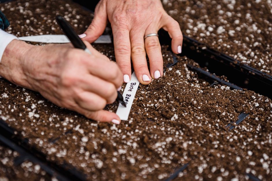 A gardener's hands labeling seed trays, focusing on horticulture and plant cultivation.