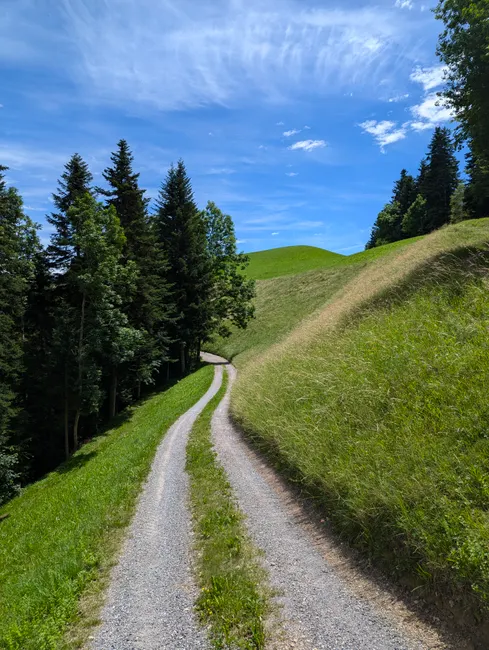 A peaceful gravel path winds through vibrant green hills under a clear blue sky.