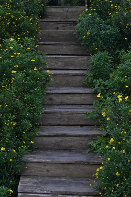 A serene garden path with a rustic wooden staircase surrounded by blooming flowers.