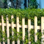Brise-vue au jardin en 2026 : 4 familles face au vent, sans piéger le potager A sunlit white picket fence adorned with lush green plants creates a serene garden scene.