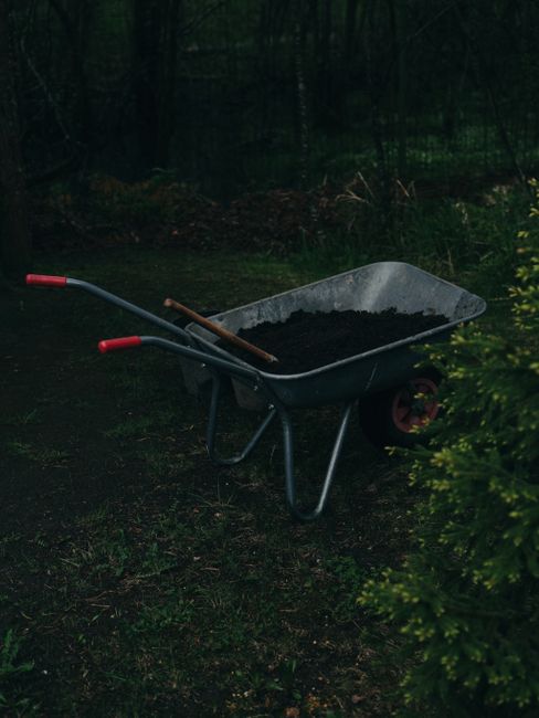 A wheelbarrow filled with soil amidst a dark, lush garden on a spring day.