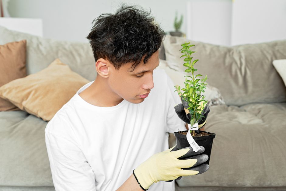 A young adult man wearing gloves attentively observes a potted plant in a cozy indoor setting.