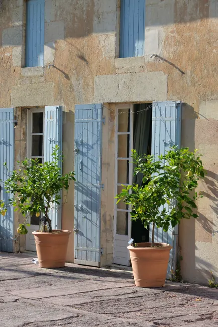Beautiful French stone terrace with potted lemon trees and blue shutters, capturing rustic charm.