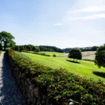 Allée de jardin : 5 solutions en 2026, et le gravier file encore Beautiful garden with a stone path and lush greenery under a sunny sky.