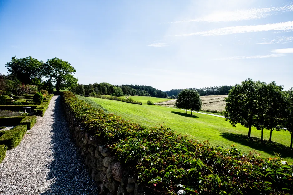 Beautiful garden with a stone path and lush greenery under a sunny sky.