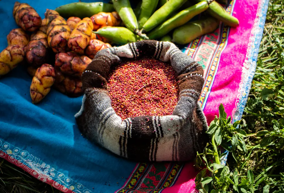 Colorful display of traditional Andean foods with quinoa, oca, and beans on vibrant textiles in Tuti, Peru.