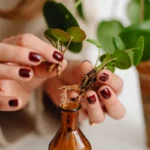 Boutures 2026: le bon rameau, pas le bain forcé Hands placing a Pilea plant cutting with roots into a small glass bottle. Ideal for gardening and home decor themes.