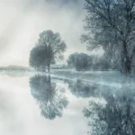 Palmier résistant au froid : 6 espèces pour l'hiver 2026, sans promesse miracle Peaceful winter scene with frosted trees reflecting in a calm lake.