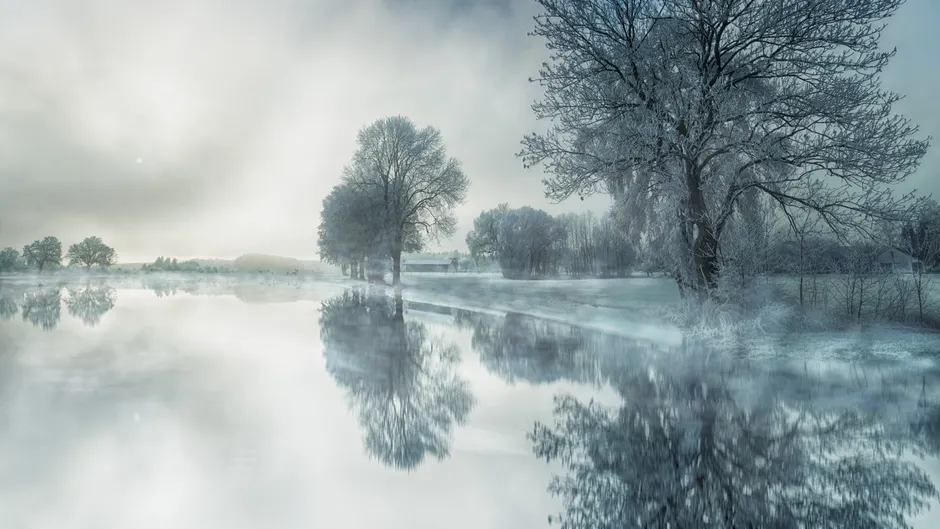 Peaceful winter scene with frosted trees reflecting in a calm lake.