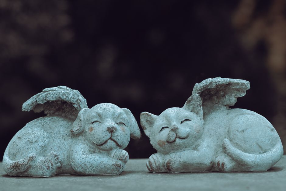 Stone cat and dog with wings add whimsical charm to any garden decor.