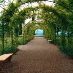 Tranquil garden walkway beneath an arch of lush vines with stone benches along the path.