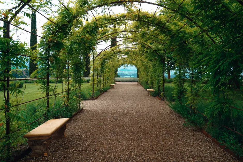 Tranquil garden walkway beneath an arch of lush vines with stone benches along the path.