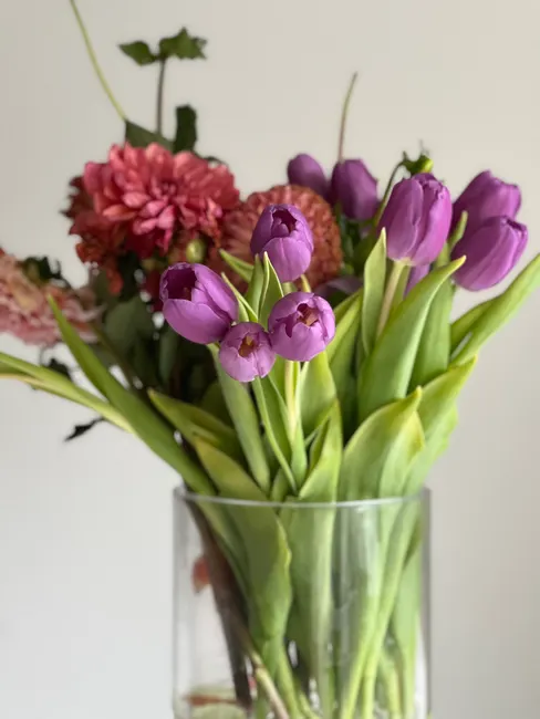 A beautiful floral arrangement of purple tulips and pink dahlias in a clear glass vase, set against a neutral background.