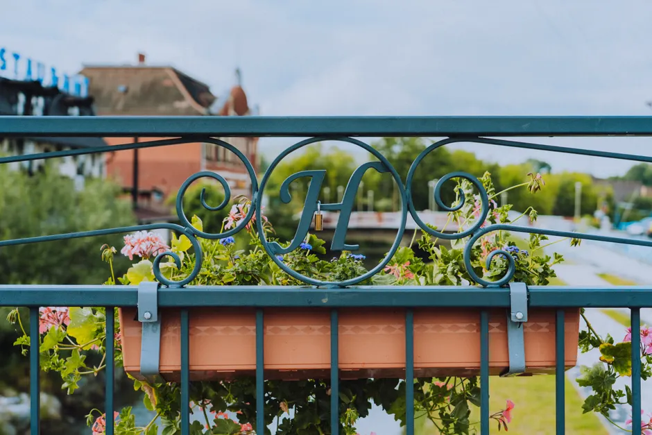 A close-up of a decorative iron fence with flowers in a flower box and a lock.