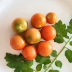 A close-up shot of fresh tomatoes with a green leaf on a white plate, showcasing organic produce.