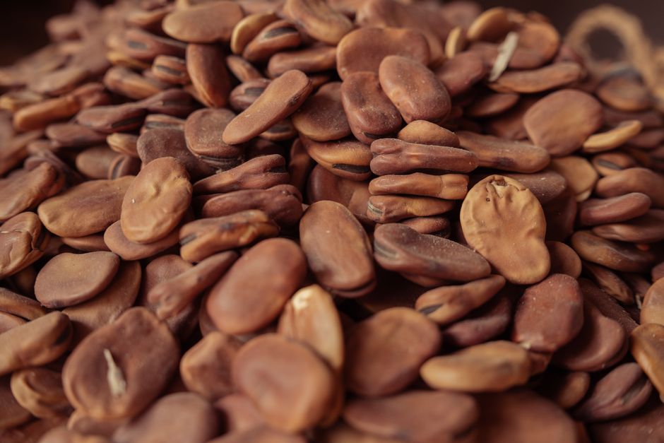 A detailed close-up of raw fava beans showcasing texture and earthy tones.