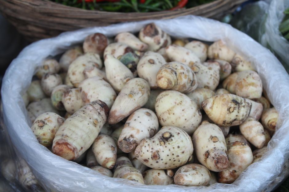 A large collection of fresh taro roots in a plastic bag at an outdoor market.