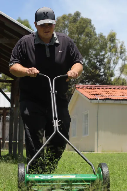 A person mowing a lawn with a push reel mower outdoors on a sunny day.