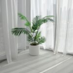 A potted Areca Palm by white curtains with soft natural light in a modern indoor setting.