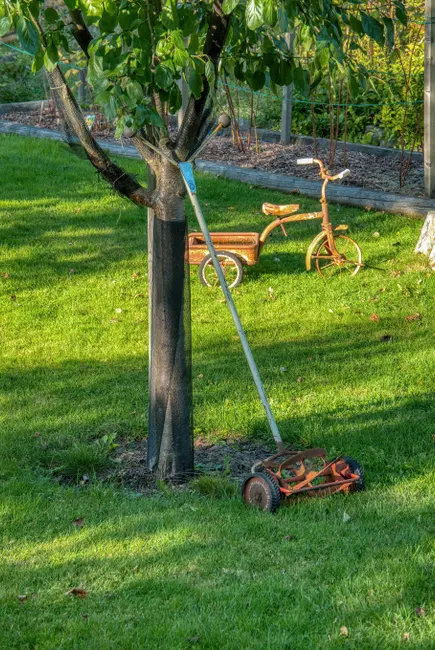A sunny garden with a vintage tricycle and lawn mower beside a tree in Stockholm, Sweden.