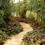 Jardin bio 2026 : six choix d'aménagement, sans bazar A tranquil garden pathway surrounded by vibrant tropical plants and flowers.