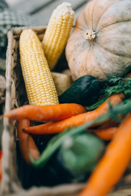 A vibrant collection of fresh, organic vegetables including corn, carrots, and squash in a woven basket.