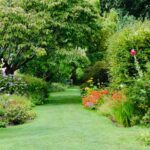 Buis en 2026 : 6 arbustes pour refaire une bordure sans rejouer la pyrale A vibrant garden pathway surrounded by blooming flowers and lush greenery, perfect for summer strolls.