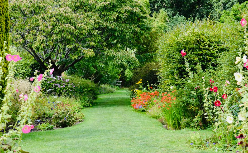 A vibrant garden pathway surrounded by blooming flowers and lush greenery, perfect for summer strolls.