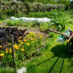 Compost au jardin : 2 à 5 kg/m², le piège du compost jeune A vibrant kitchen garden with colorful flowers, vegetables, and a wheelbarrow filled with tools.