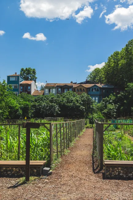 A vibrant urban garden with wooden pathway and colorful houses under a bright blue sky.
