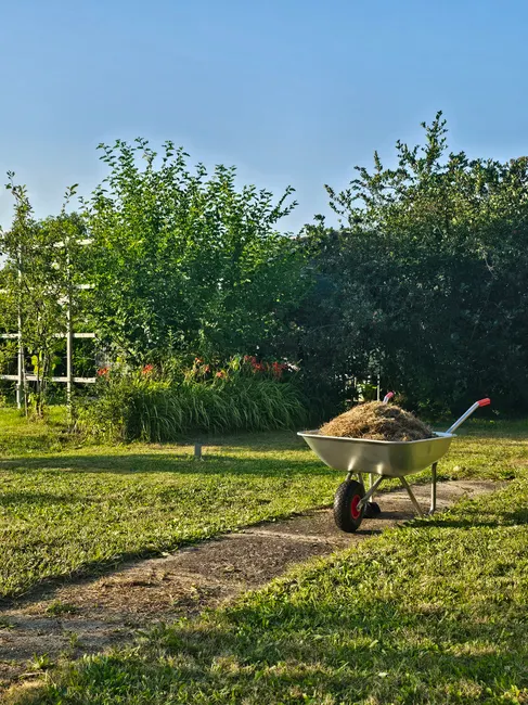 A wheelbarrow filled with soil in a lush garden, capturing the essence of summer gardening.