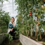 A woman sits thoughtfully in a greenhouse among growing tomato plants.