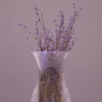 Boutures d'été : 7 plantes à multiplier en août, sans tour de magie Aesthetic display of lavender in a clear glass vase, perfect for home decor ideas.