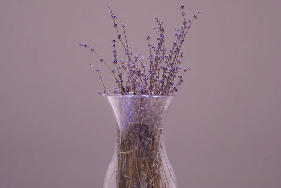 Aesthetic display of lavender in a clear glass vase, perfect for home decor ideas.